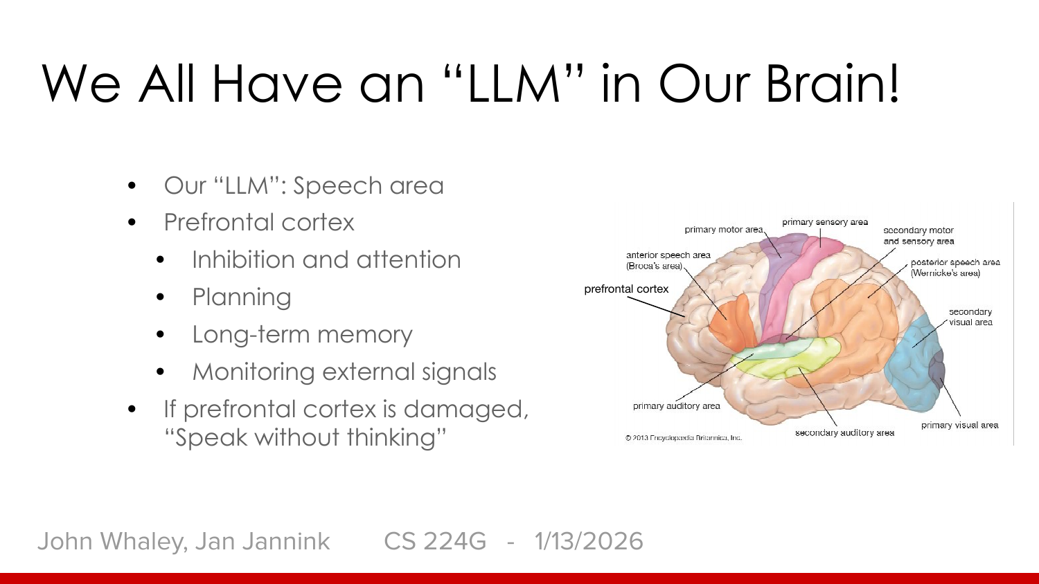 Slayt: We All Have an LLM in Our Brain. Solda madde listesi: konuşma alanı bizim LLM'imiz; prefrontal korteks ketleme ve dikkat, planlama, uzun süreli bellek, dış sinyalleri izleme işlerini yapar; hasar görürse kişi düşünmeden konuşur. Sağda bölgeleri renklendirilmiş beyin şeması