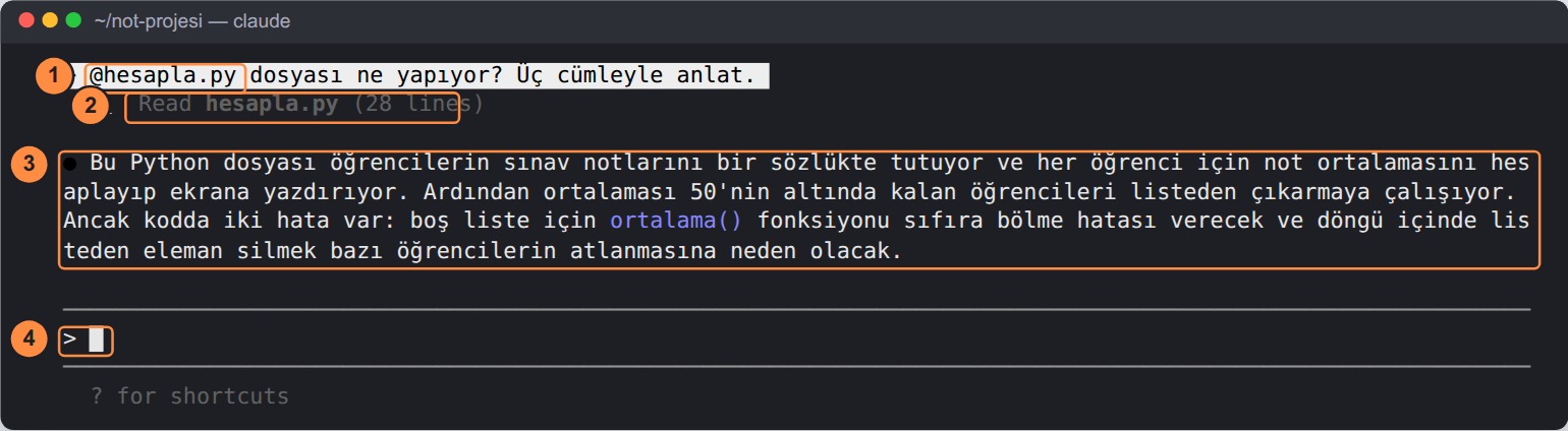 Terminal. 1: kullanıcının isteği '@hesapla.py dosyası ne yapıyor? Üç cümleyle anlat.' 2: altında 'Read hesapla.py (28 lines)'. 3: ajanın cevabı: dosya notları sözlükte tutuyor, ortalamaları yazdırıyor, 50'nin altındakileri listeden çıkarmaya çalışıyor; ancak kodda iki hata var: boş liste için sıfıra bölme ve döngü içinde listeden silmenin bazı öğrencileri atlatması. 4: boş istek kutusu.