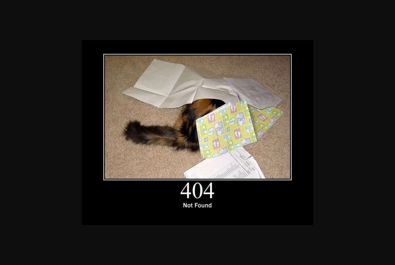 http.cat/404 sayfası: siyah zeminde, bir kâğıt torbanın içine başını sokmuş, yalnızca arka yarısı görünen bir kedi fotoğrafı; altında büyük harflerle 404 ve 'Not Found'.