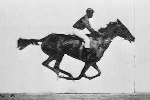 Muybridge’in art arda çektiği at fotoğraflarından oluşan animasyon