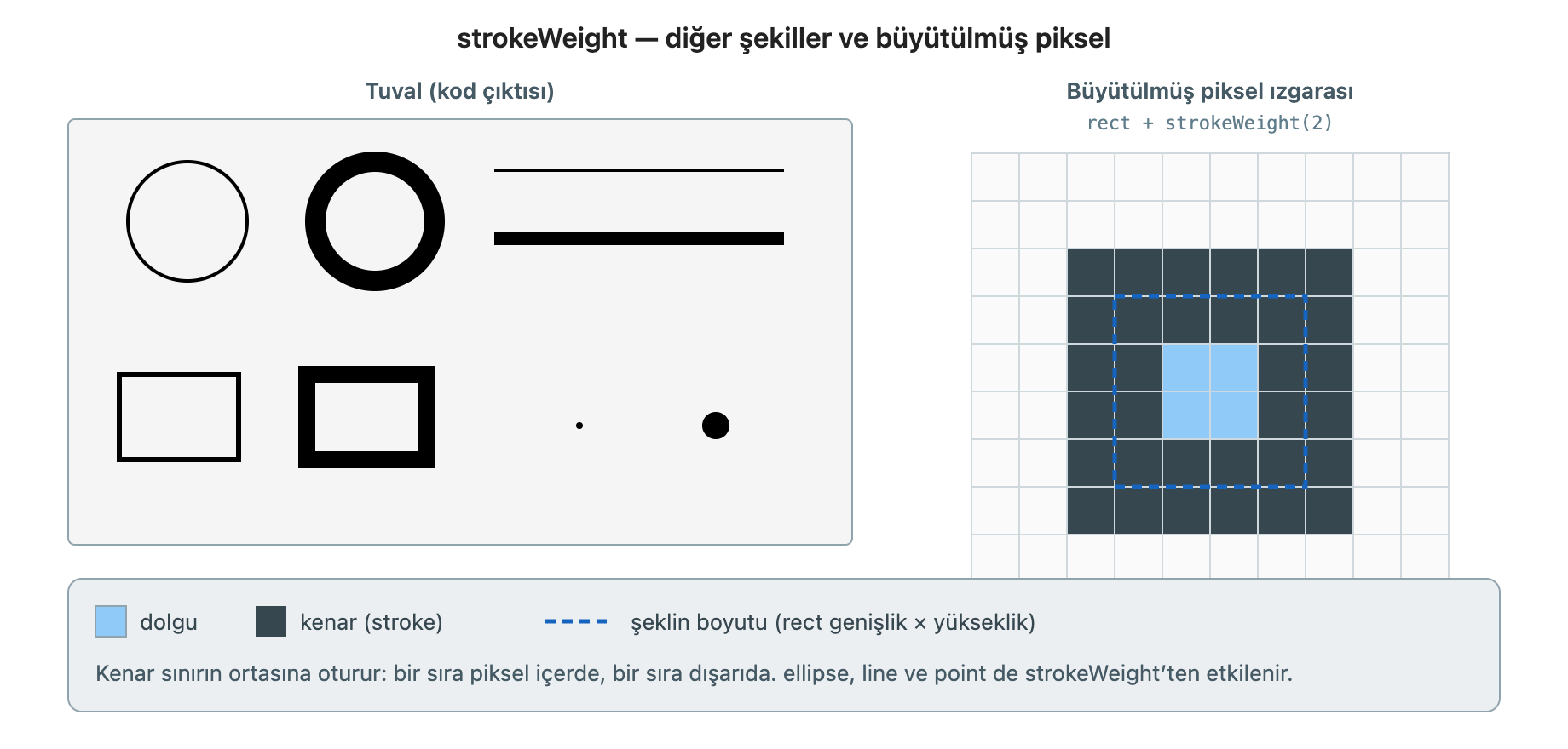 strokeWeight: daire, dikdörtgen, çizgi, nokta ve büyütülmüş piksel ızgarası